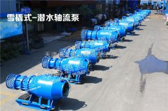 大小口径雪橇式轴流泵水污染清洁操作